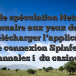 Ton de spéculation Neteller : un annuaire aux yeux de votre un télécharger l’application de connexion Spinfest annales í  du casino